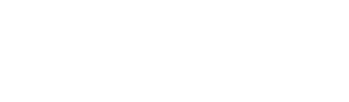 Sagiton